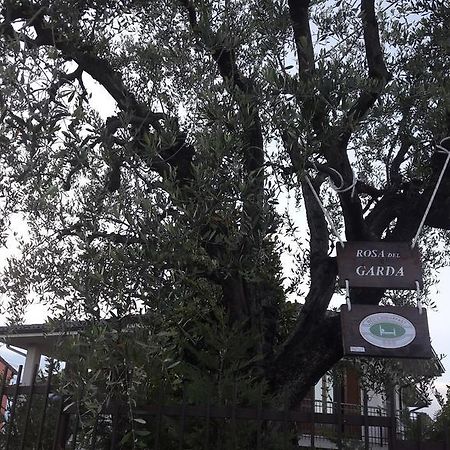 B&B Rosa Del Garda Lazise Extérieur photo